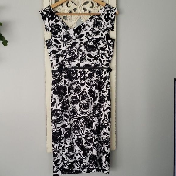 3 for $25 Adrianna Papell Dress Size 6 - Picture 4 of 7